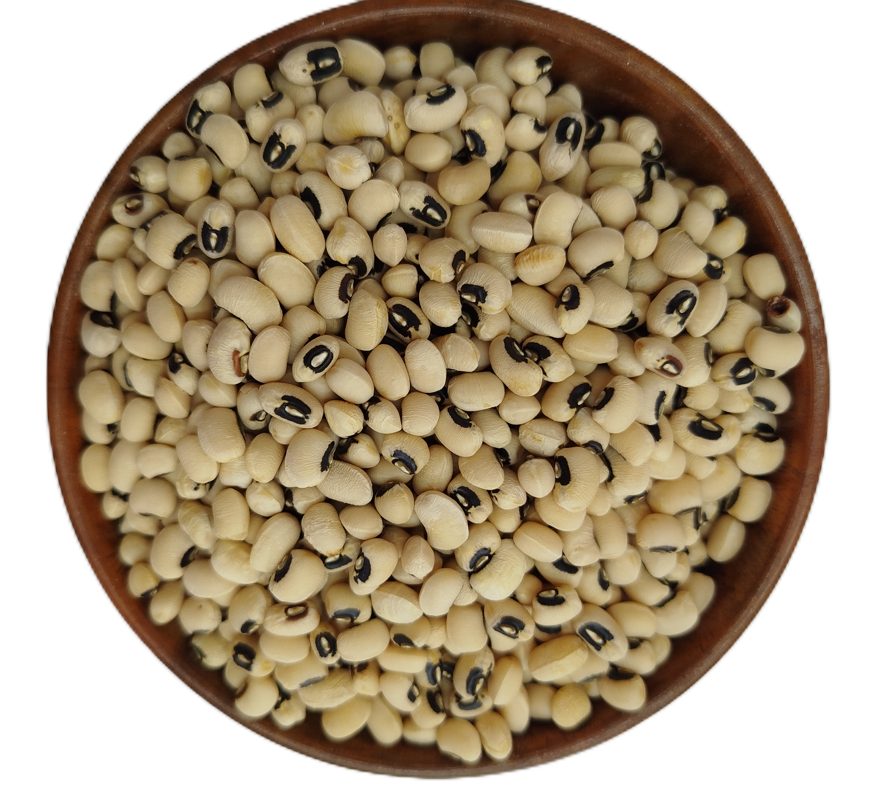 لوبیا چشم بلبی