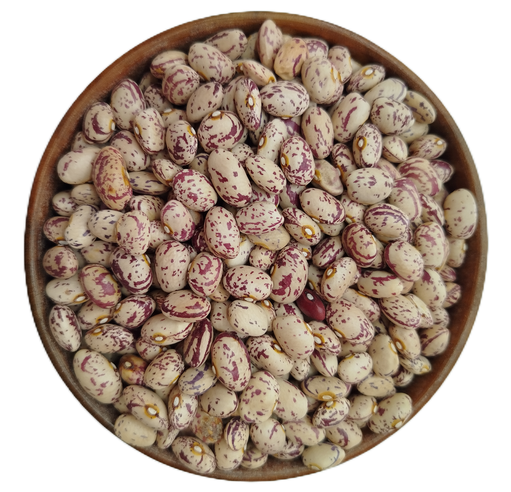 لوبیا چیتی اعلا