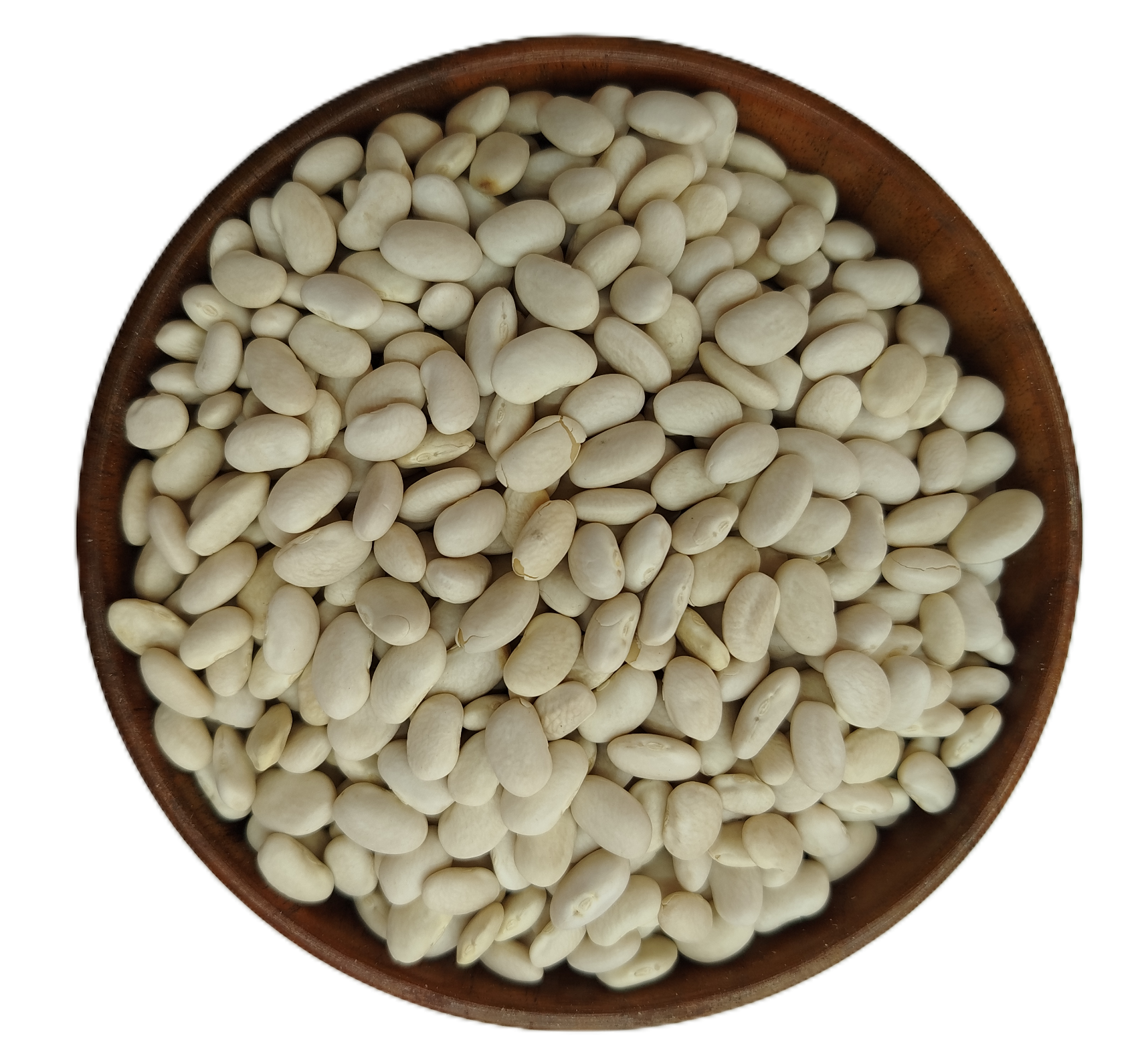 لوبیا سفید