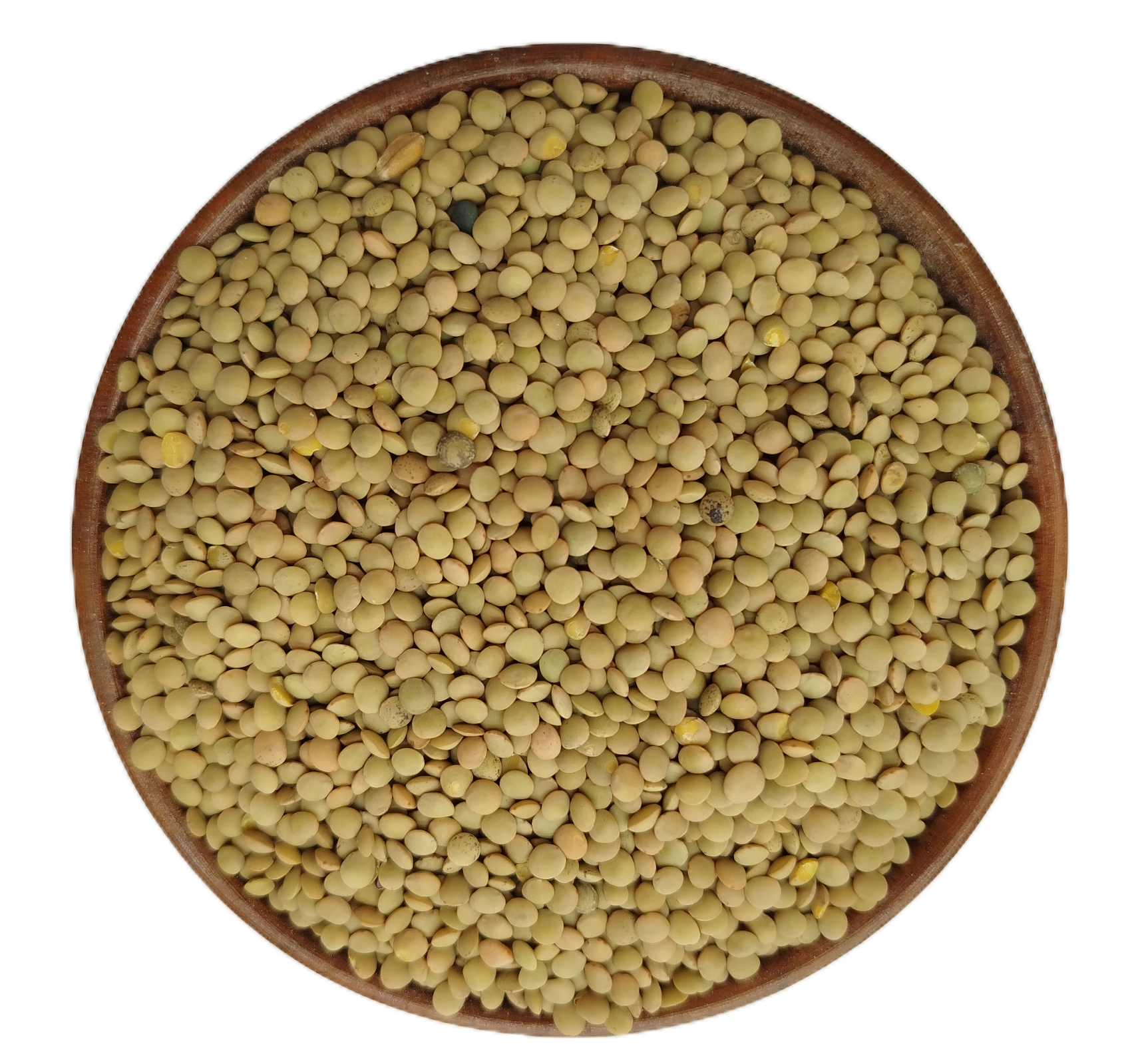 عدس ریز